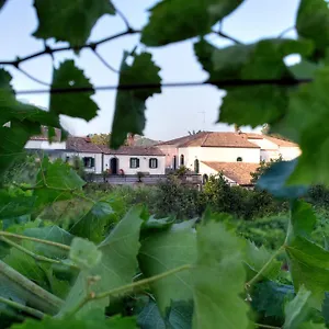  Casa vacanze Etna